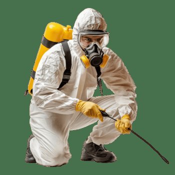 Traitement antiparasitaire